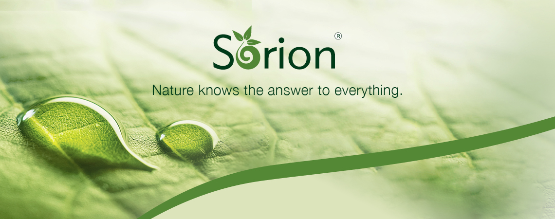 #slide_caption_27 Ayurvedic products that combine naturalness,